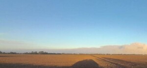 Пожежа на території Дунайського біосферного заповідника загасив дощ