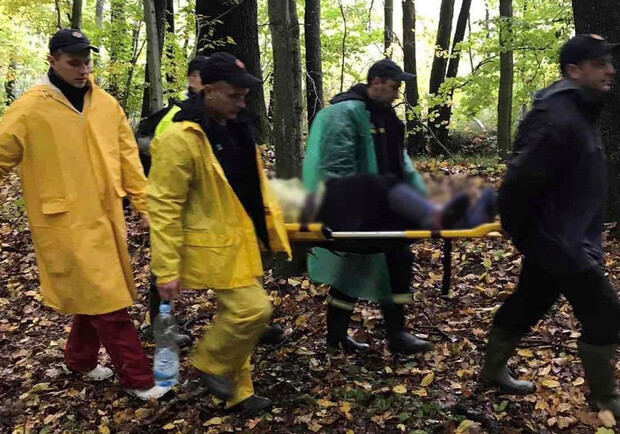 У лісі в Дрогобицькому районі знайшли мертвого грибника 