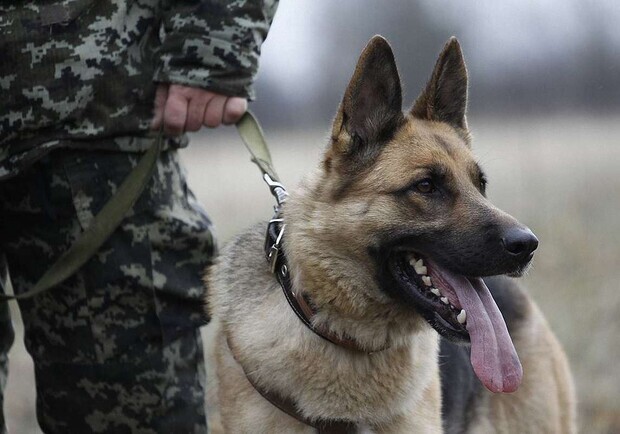 Анонім повідомив про замінування кількох львівських шкіл і ліцеїв 