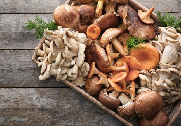 На Львівщині зафіксували три випадки отруєння грибами 