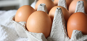 АМКУ перевіряє, чи є підстави для подорожчання курячих яєць в Україні