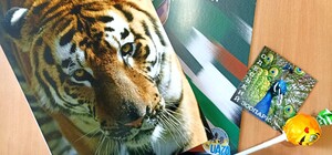 В Одеському зоопарку оголосили результати конкурсу 