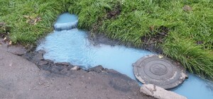 У Дніпрі біля дороги помітили 