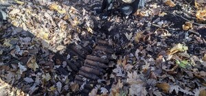 На Одещині знищили понад 150 снарядів, які знайшов пес (відео)