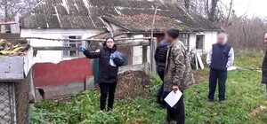 Під Києвом чоловік морив голодом та спалював загиблих собак