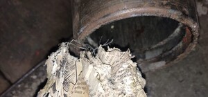 У снаряді, яким окупанти обстріляли Дніпропетровщину, знайшли книгу Льва Толстого