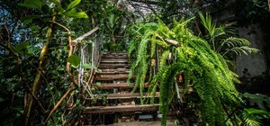 Графік і ціни: як буде працювати ботанічний сад у Дніпрі у листопаді