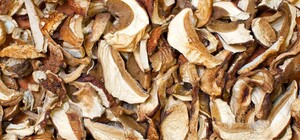 В Одесі 14-річна дівчина потрапила до реанімації після вживання сушених грибів