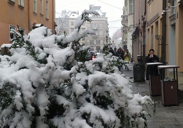 Львів засипало снігом — фото та відео. 