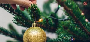 У Дніпрі буде новорічна ялинка, яку можна прикрасити: де і коли