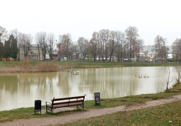 У Горіховому гаю чистять озеро. 