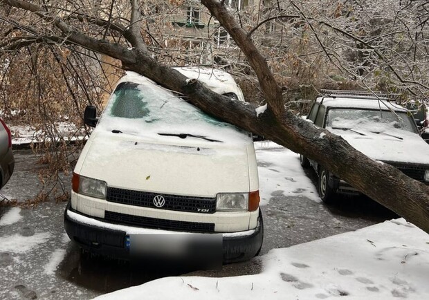 Через налипання снігу у Львові дерева повалилися на автомобілі і дороги  