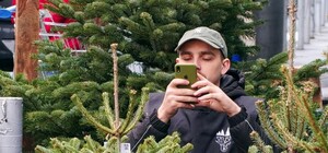 В Одесі з'явилися перші ялинкові базари