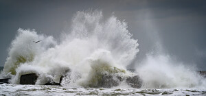 Туман, сніг та шторм: як змінювалася погода в Одесі останні дні
