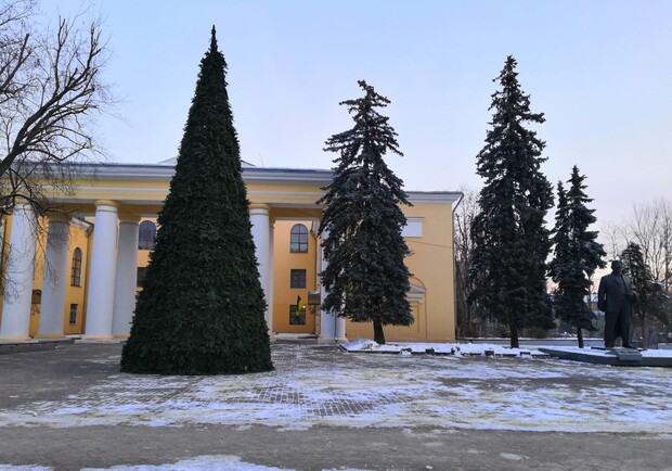 У Дрогобичі встановили найвищу новорічну ялинку у Львівській області. 
