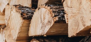 В Україні зросли ціни на дрова: за скільки можна купити деревину