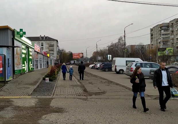 Де можна легально придбати живу ялинку у Дрогобичі та Стебнику 