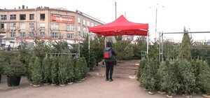 У Харкові працює тридцять три ялинкових базари 