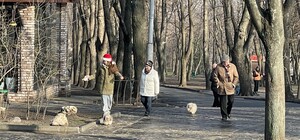 Історичний максимум: у Дніпрі зафіксували температурний рекорд 