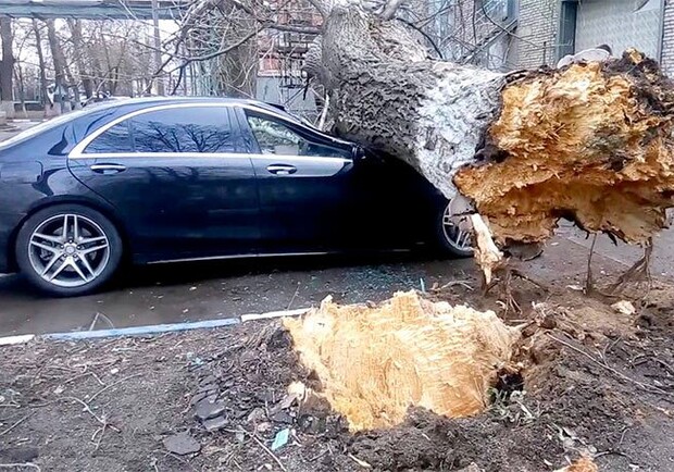 На 5 січня у Львові та області оголосили штормове попередження. 