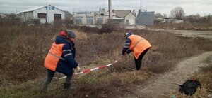 На Харківщині під час прибирання території двірники знайшли дві міни