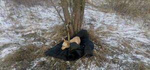 На Київщині чоловік ціною свого життя врятував собаку, що провалилася під кригу