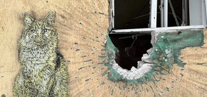 Паризький художник C215 створив кілька графіті у Києві та області (фото)