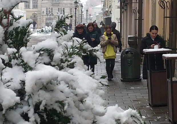 Через сильний снігопад на 2 лютого у Львові оголосили штормове попередження. 