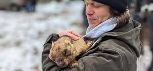 Харківський сурок Тимко передбачив, коли чекати на весну