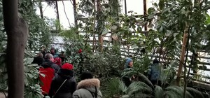 У Дніпрі на вихідних безкоштовно працюватиме ботанічний сад: графік 