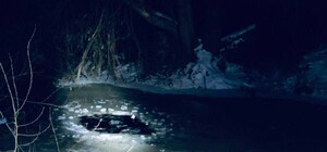 Під Києвом сталася страшна трагедія: загинула дитина