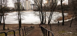 На Оболоні перехожі врятували хлопчика, який провалився під кригу на озері