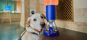 На одеському вокзалі з'являться напувалки для тварин