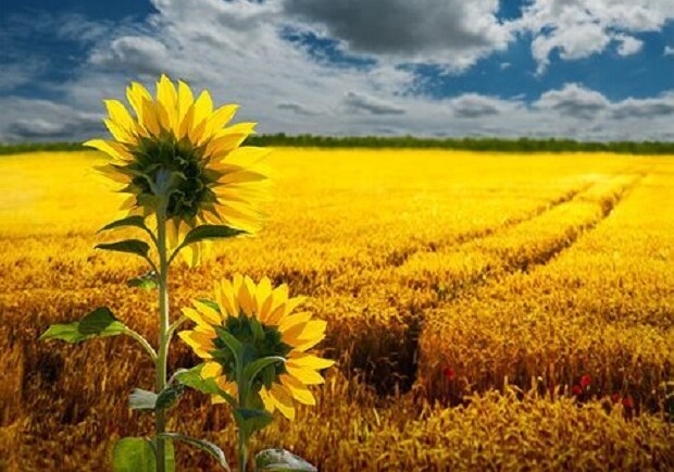 Благодійний концерт "За Україну!" - фото: pinterest.com