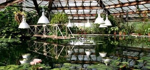 У Дніпрі відновлює роботу ботанічний сад: графік та ціни