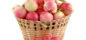 Де цими вихідними у Києві пройдуть продуктові ярмарки. Адреси