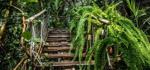 У Дніпрі безкоштовно працюватиме ботанічний сад: графік