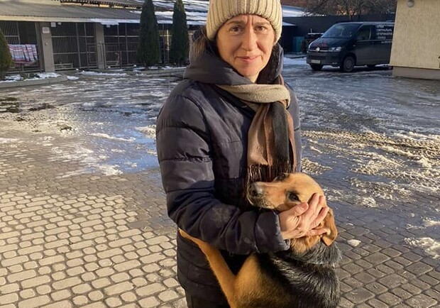 За два тижні 14 львівських бездомних котів і собак знайшли нові родини — фото щасливців. 
