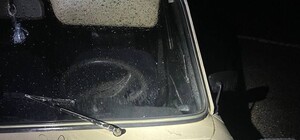 У Дніпрі затримали викрадачів автомобілю