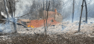 В поліції показали наслідки ворожих обстрілів Запорізької області (фото)