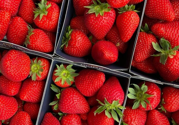 Покупців шокували ціни на полуницю у Львові — відео. 