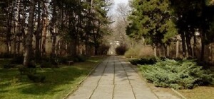 Жителів Дніпра просять допомогти ботанічному саду