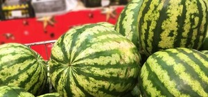 Херсонські кавуни поки що замінять одеськими