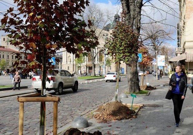У Львові стартує акція «Хочу посадити дерево!» – як долучитися. 