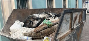 Отримай відповідь: чи правда, що в Одесі викинули корову на смітник