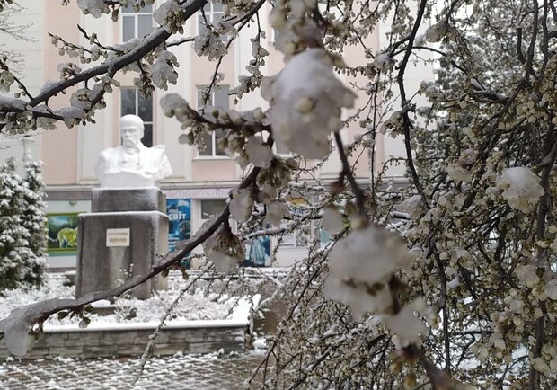 Алича цвіте, завірюха мете: 28 березня Львівщину засипало снігом — фото та відео. 