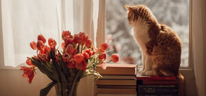 Чому у Києві поки що не відключають опалення: пояснення КМДА