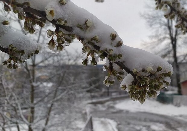 У Львові прогнозують сильне похолодання і снігопад. 