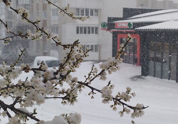 6 квітня Львівщину засипало снігом – відео. 