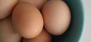 В Україні скоро подешевшають курячі яйця: коли і наскільки